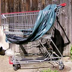 Einkaufswagen