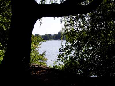 Unter den Bäumen stehend schauen wir auf den See.