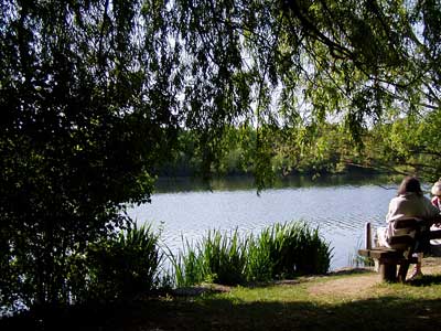 An manchen Stellen laden Bänke zum Verweilen am See ein.