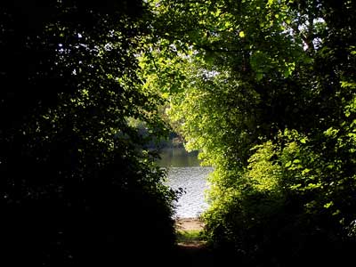Es gibt auch schmale Wege zum See, durch das Gestrüpp hindurch.