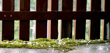 Hagel