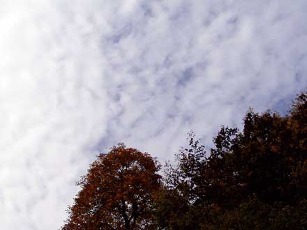 Der Himmel zieht sich immer mehr zu.