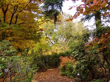 Der Rhododendrongarten ist nicht nur im Frühjahr farbenfroh.