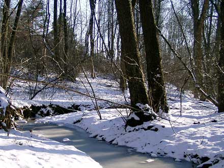 der Kleinhohenheimer Bach