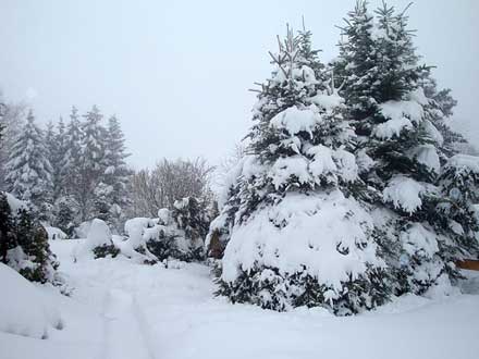 viel Schnee im Erzgebirge