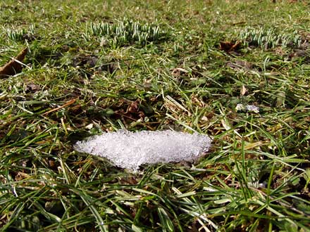 im Vordergrund etwas Schnee, hinten sprießen Schneeglöckchen