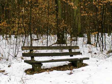 schneebedeckte Bank