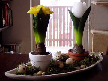 frühlinghaft-österliches Arrangement in einer Schale