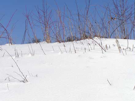 geschlossene Schneedecke