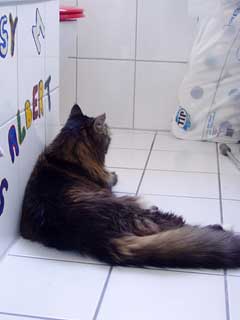 Minka im Bad