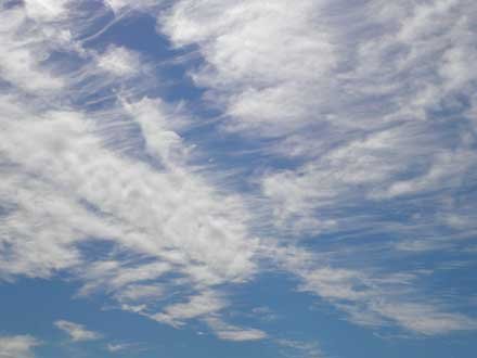 Federwolken