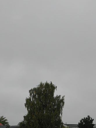 grauer, trüber Regentag grauer, trüber Regentag