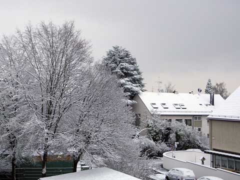 der erste Schnee im Winter 2010/2011 der erste Schnee im Winter 2010/2011