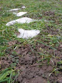 jämmerlicher Schneerest