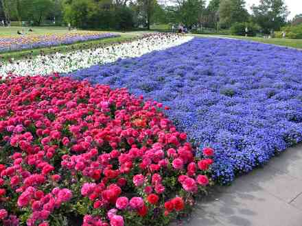 Blumenpracht im Höhenpark Killesberg
