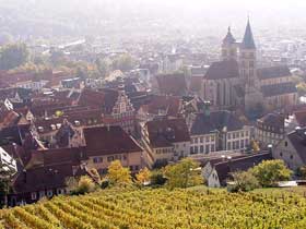 Blick auf Altstadt und Stadtkirche St. Dionys