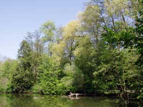 Blick über den See