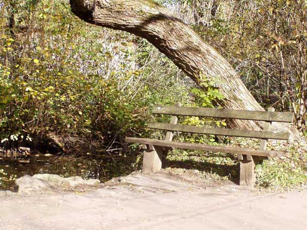 eine Parkbank am Bach