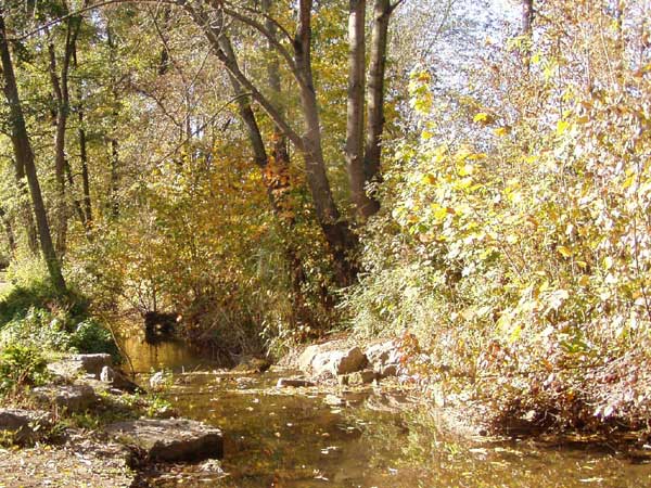 ruhiger Bachlauf