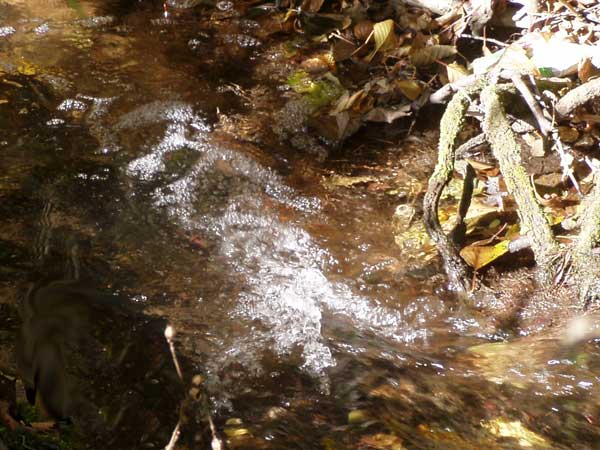 Wasserstrudel