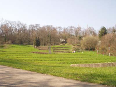 Mauern und Treppen erinnern an früheren Weinbau