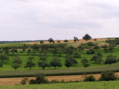 Obstwiesen und Felder unter bewölktem Himmel