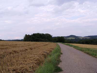 Feldweg zwischen Feldern