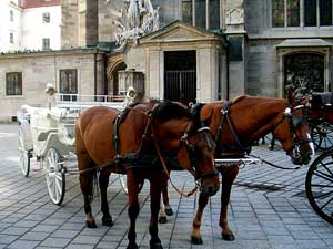 in Wien