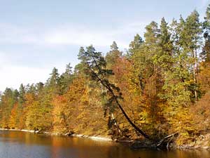 goldener Herbst am Stuttgarter Bärensee