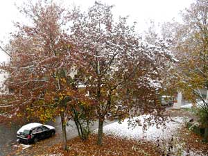 erster Schnee