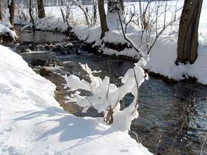 Der Winter kam zurück.