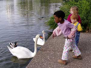 Wasservögel füttern macht den Kindern Spaß.