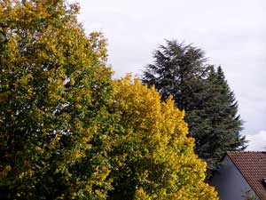 Der Herbst ist ins Land gezogen.