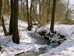 Es gab Dauerfrost und viel Schnee.