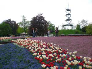 Meinen Geburtstag feierte ich im Höhenpark Killesberg.