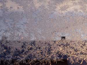 Eisblumen an der Fensterscheibe